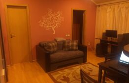 Apartament 2 camere, 42 mp, spatios, zona Vasile Aaron