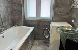 Apartament+garsoniera la pachet, 70 mp, Ultracentral