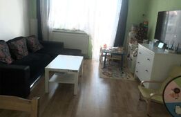 Apartament 2 camere, 50 mp, balcon, zona Terezian
