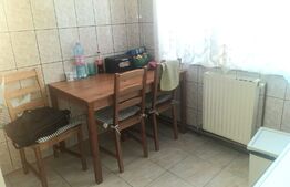Apartament 2 camere, 50 mp, balcon, zona Terezian