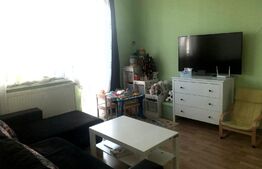 Apartament 2 camere, 50 mp, balcon, zona Terezian
