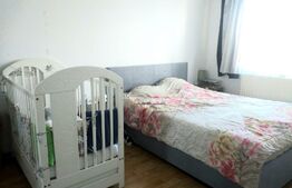 Apartament 2 camere, 50 mp, balcon, zona Terezian