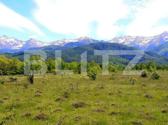 Teren de vânzare Avrig - 131362TV | BLITZ Sibiu | Poza1