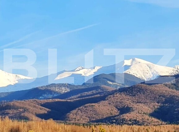 Teren de vânzare Avrig - 131362TV | BLITZ Sibiu | Poza3