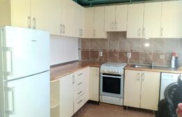 Apartament 2 camere, Vasile Aaron