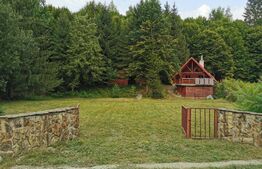 Casa de vacanță (cabană), zona Porumbacu de sus