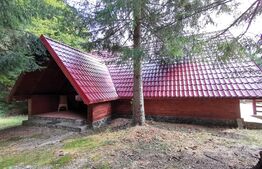 Casa de vacanță (cabană), zona Porumbacu de sus