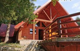 Casa de vacanță (cabană), zona Porumbacu de sus