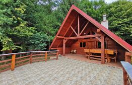 Casa de vacanță (cabană), zona Porumbacu de sus