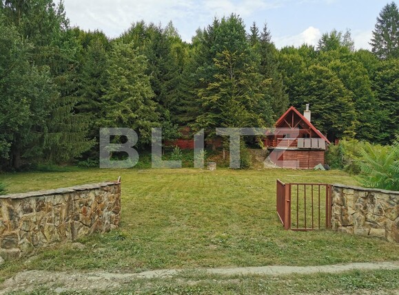 Casa de vânzare 4 camere Exterior Est - 131792CV | BLITZ Sibiu | Poza11