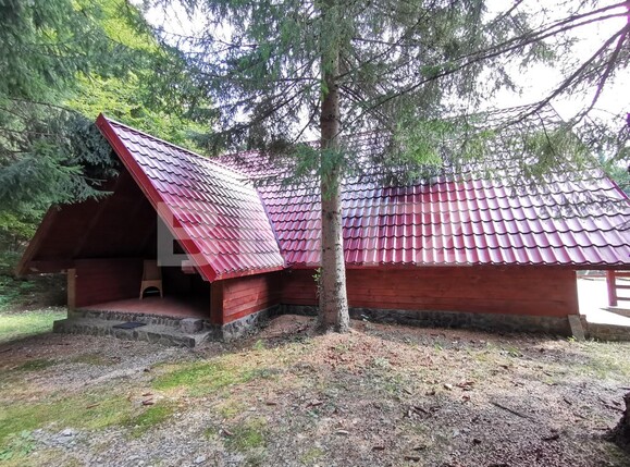 Casa de vânzare 4 camere Exterior Est - 131792CV | BLITZ Sibiu | Poza10