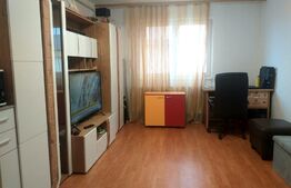 Garsoniera, 22 mp utili, zona Terezian