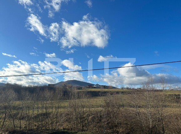 Casa de vânzare 5 camere Vest - 132308CV | BLITZ Sibiu | Poza15