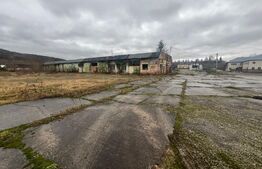 Terem + doua hale de inchiriat 