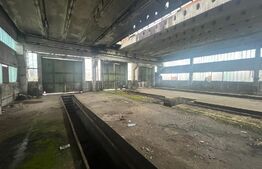 Terem + doua hale de inchiriat 