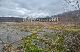 Terem + doua hale de inchiriat 