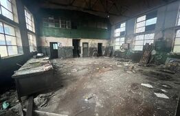 Terem + doua hale de inchiriat 