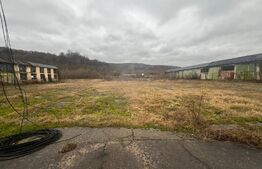 Terem + doua hale de inchiriat 