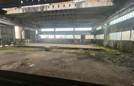 Terem + doua hale de inchiriat 