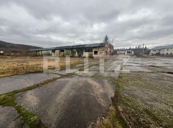Spațiu industrial de închiriat Vest - 132533SII | BLITZ Sibiu | Poza6
