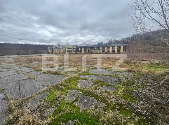 Spațiu industrial de închiriat Vest - 132533SII | BLITZ Sibiu | Poza1