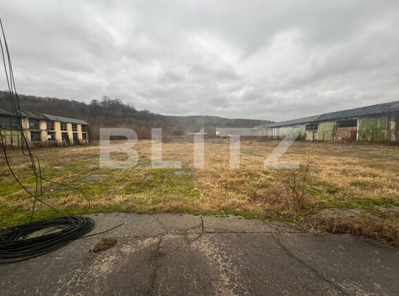 Spațiu industrial de închiriat Vest - 132533SII | BLITZ Sibiu | Poza3