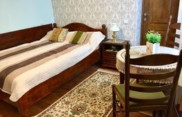 Apartament ultracentral, 51 mp, zona Ocnei