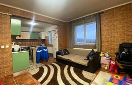 Apartament la mansarda, 84 mp, cartier Lazaret