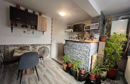 Garsoniera 30mp, Central