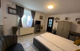 Garsoniera 30mp, Central