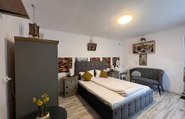 Garsoniera 30mp, Central