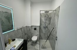 Apartament  cu o camera + curte, balcon loc de parcare boxa 