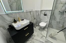 Apartament  cu o camera + curte, balcon loc de parcare boxa 