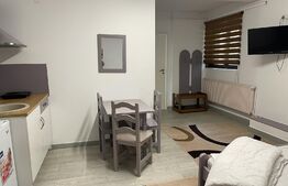 Casa cu 7 apartamente pentru regim hotelier, Ultracentral 