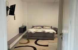 Casa cu 7 apartamente pentru regim hotelier, Ultracentral 