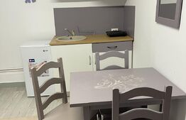 Casa cu 7 apartamente pentru regim hotelier, Ultracentral 