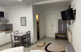 Casa cu 7 apartamente pentru regim hotelier, Ultracentral 