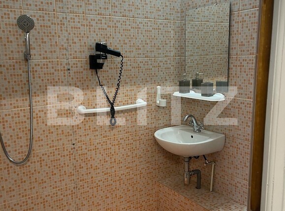 Casa de vânzare 10 camere Orasul de Jos - 137289CV | BLITZ Sibiu | Poza10