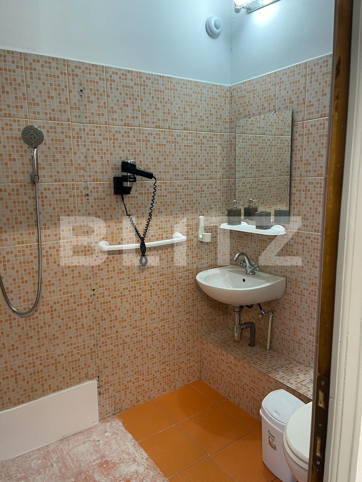 Casa de vânzare 10 camere Orasul de Jos - 137289CV | BLITZ Sibiu | Poza10