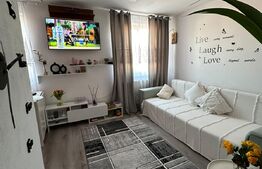 Apartament 2 camere, 46mp, mansarda 