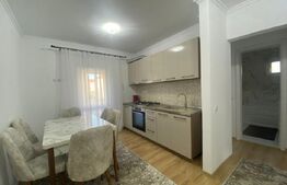 Apartament 2 camere,  47 mp utili, zona Cartier Terezian. 