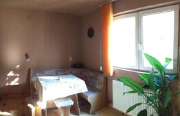 Casa cu etaj in Turnisor