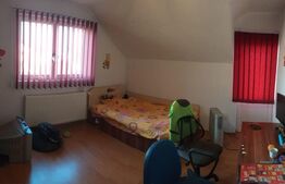 Casa cu etaj in Turnisor