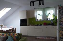 Casa compartimentata ca 2 apartamente, zona Centru