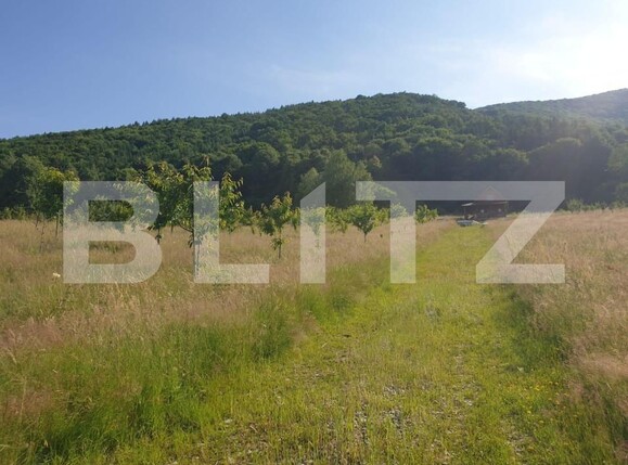 Teren de vânzare Exterior Vest - 140834TV | BLITZ Sibiu | Poza4