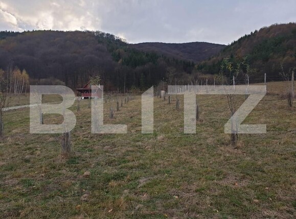 Teren de vânzare Exterior Vest - 140834TV | BLITZ Sibiu | Poza9