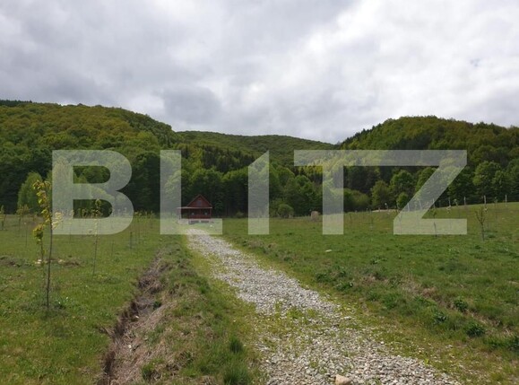 Teren de vânzare Exterior Vest - 140834TV | BLITZ Sibiu | Poza3