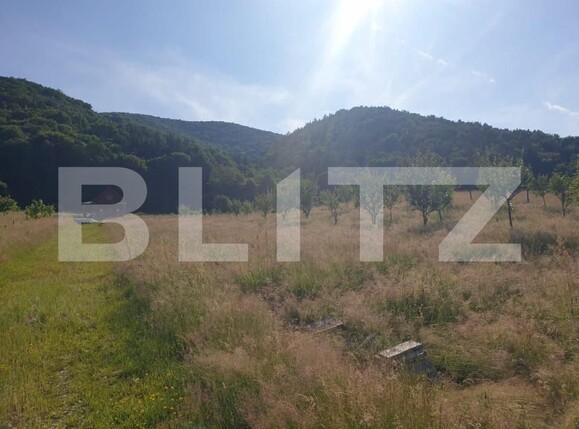 Teren de vânzare Exterior Vest - 140834TV | BLITZ Sibiu | Poza2