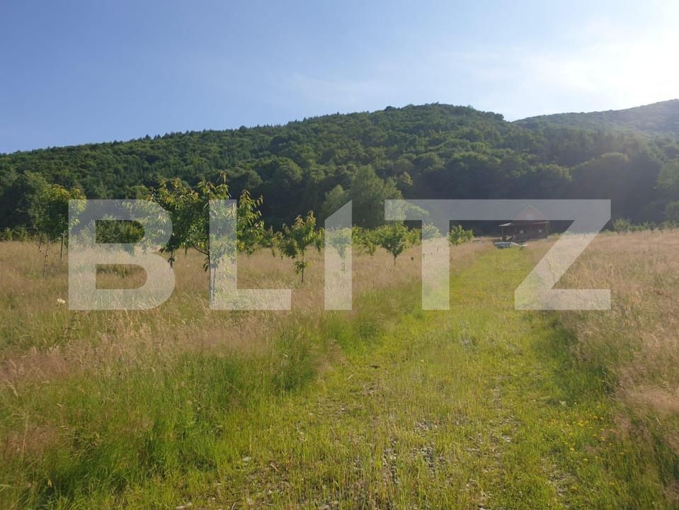 Teren de vânzare Exterior Vest - 140834TV | BLITZ Sibiu | Poza4