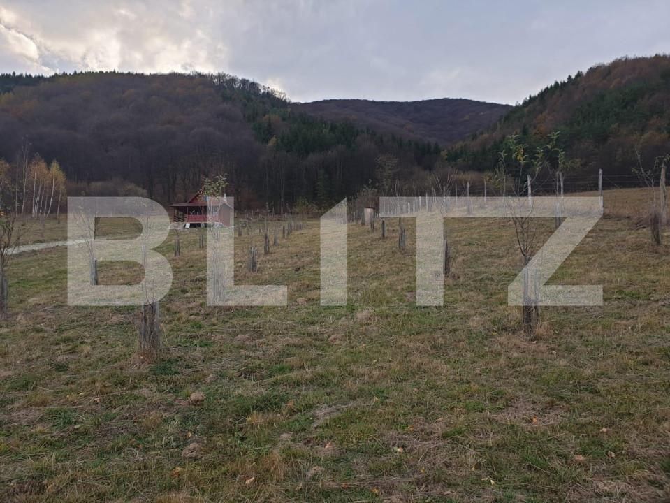 Teren de vânzare Exterior Vest - 140834TV | BLITZ Sibiu | Poza9